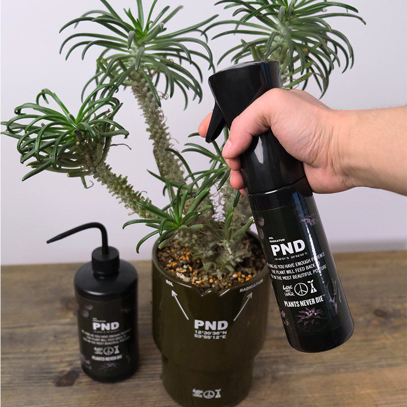 pnd块根植物浇水壶黑色增压喷壶超细喷雾多肉园艺浇花盆景绿植