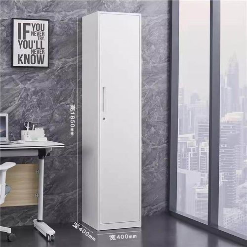 铁皮文件柜办公室文件柜资料柜带锁矮柜厚1.2mm白色单铁门书柜