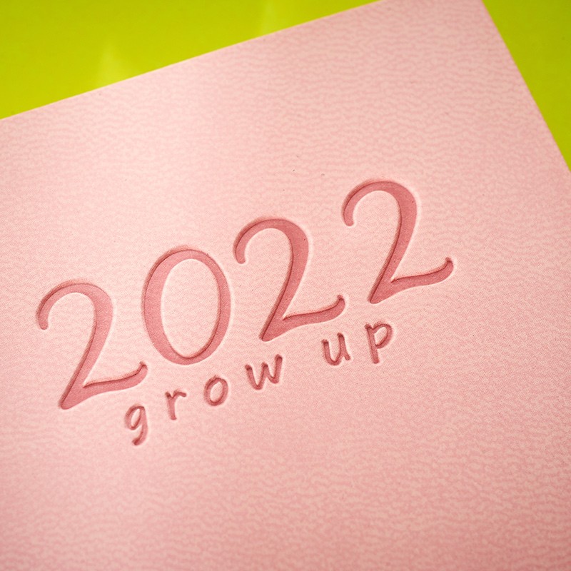 2022年每日计划表工作日程本一日一页天带日期时间管理周日历日记