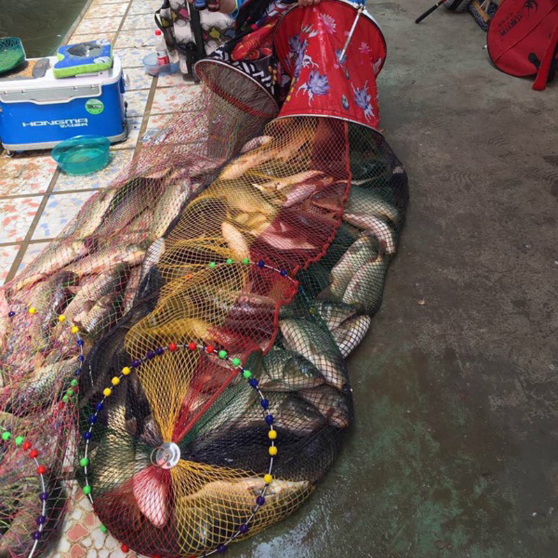 黑坑灵高温狂开口钓鱼小药野钓鲤鱼小箹鲫鱼饵料青鱼窝料渔具用品