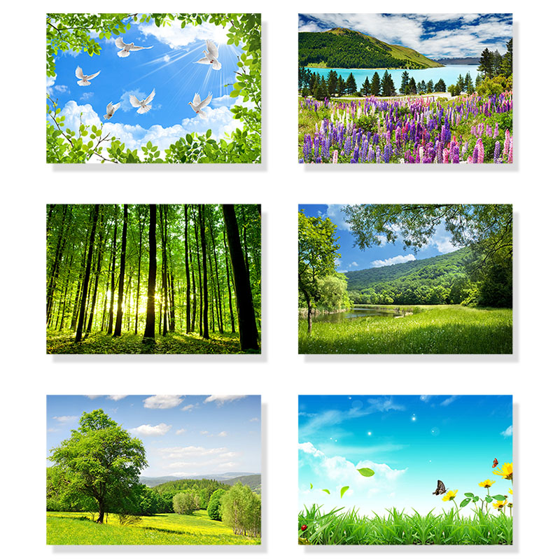 餐厅装饰画风景挂画卧室床头壁画现代简约无框画宾馆酒店走廊墙画