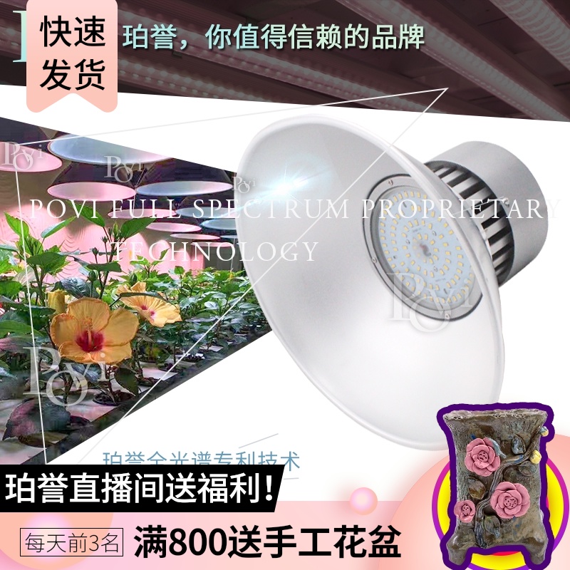 珀誉led全光谱仿太阳植物生长灯 多肉补光灯防徒上色家用大棚花卉