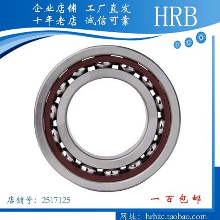 单角接触轴承 7200 7201 7202 7203 7204 7205 7206 7207 7208 AC