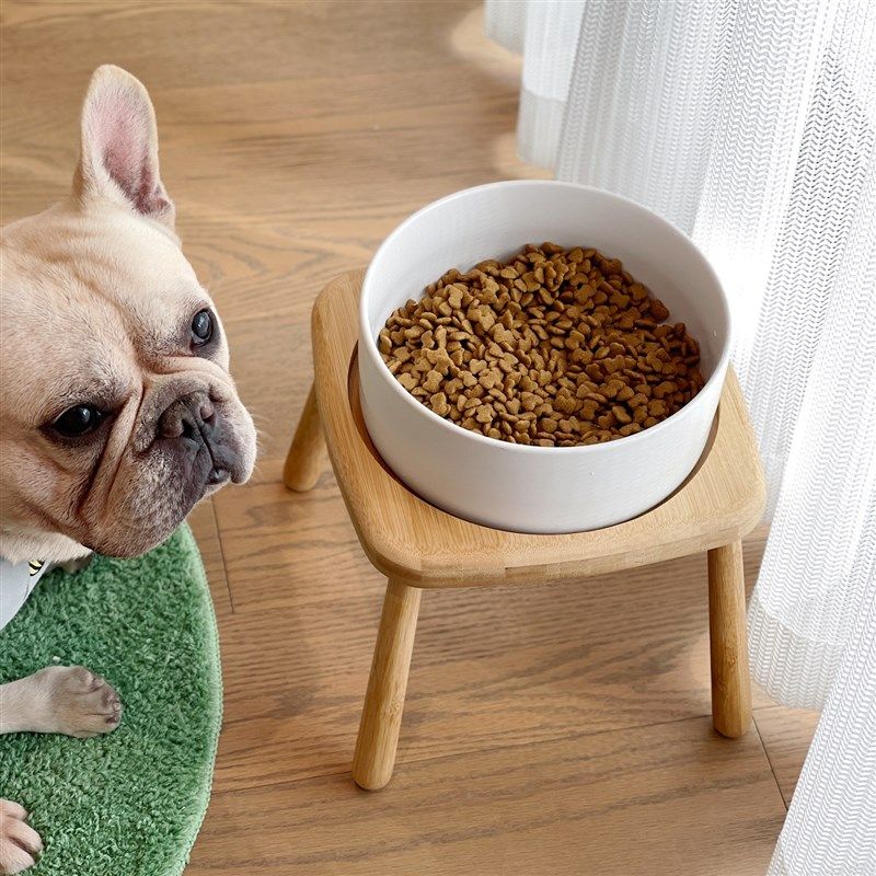 陶瓷狗碗宠物犬饭碗高脚防打翻中小大型狗粮碗护颈椎水碗双碗狗盆,宠物/宠物食品及用品,猫狗碗/慢食碗,淘宝优惠券,粉丝福利购,淘宝优惠卷