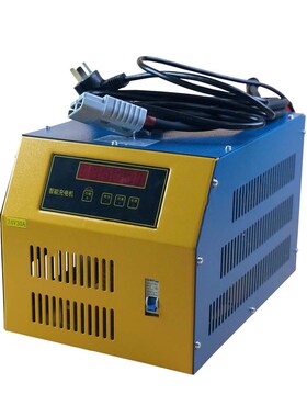 电动叉车充电器DF鼎丰灵充24V48V30A40A50A60A70V80A80智能充电机