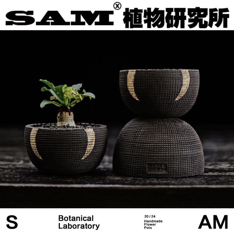SAM植物研究所恶魔之牙花盆/潮流块根手工盆器/透气质感块根花盆