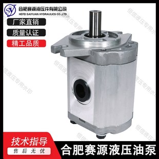 414 416 423 F410 A油泵 420 412.5 419.2 合肥赛源齿轮泵CBT 418