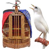 高档2020新款 上市老料竹制鸟画哥 画眉隔斗笼竹八哥鹩大小号竹鸟