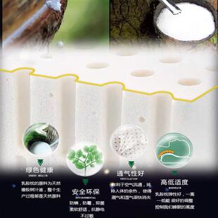 单人枕头 48x74cm枕套专用 天然乳胶 成人小孩通用阻螨护颈椎枕芯