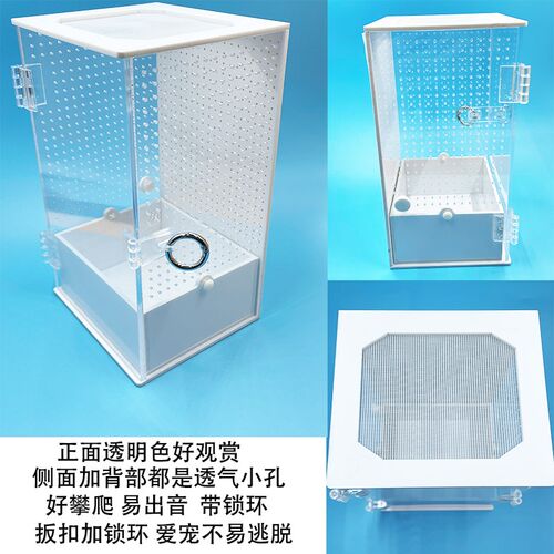 螳螂饲养盒鸣虫生态盒蜘蛛树蛙巨拟叶螽昆虫跳蛛蛐蛐蝈蝈亚克力