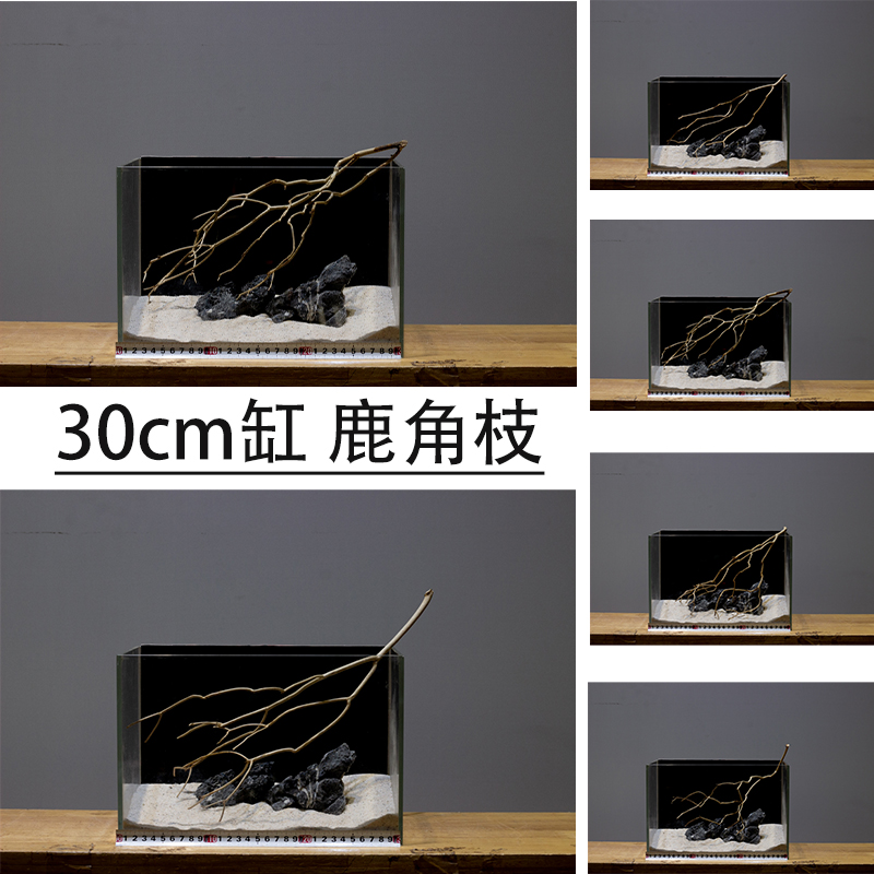 鹿角枝沉木南美缸造景鹿角枝干树枝小鱼缸布景枯木30缸小树枝条
