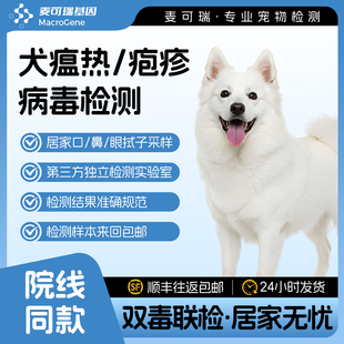 宠物犬瘟热疱疹病毒检测狗瘟荧光pcr核酸检测居家采样宠物体检