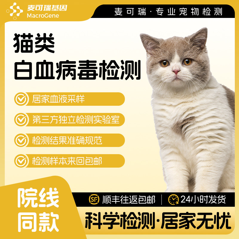 猫白血病检测血液荧光pcr检测宠物猫咪体检