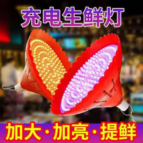 LED充电应急生鲜灯猪肉灯熟食灯泡 夜市摆摊低压水果灯超亮红白光