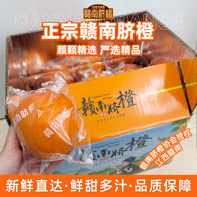【现摘现发】赣南脐橙新鲜采摘当季水果赣州直发手剥大果甜橙子