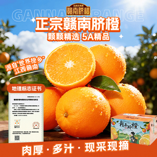 【送礼优选】精品赣南脐橙现摘现发橙香浓郁产地直发整箱装