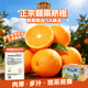 送礼优选 精品赣南脐橙现摘现发橙香浓郁产地直发整箱装