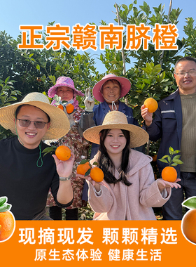 【赣州特产】江西赣南脐橙新鲜水果产地直发果肉饱满果园现采橙子