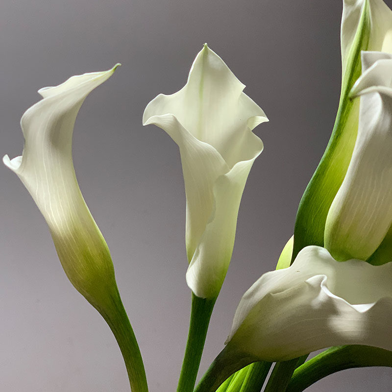 埃塞俄比亚国花白色马蹄莲海芋百合鲜花婚礼手捧花酒店花瓶插花