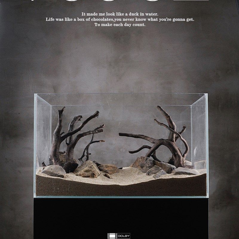 青龙石松皮石溪流石造景石真石草缸假山鱼缸装饰水族箱定制套餐,宠物/宠物食品及用品,造景/装饰,淘宝优惠券,粉丝福利购,淘宝优惠卷