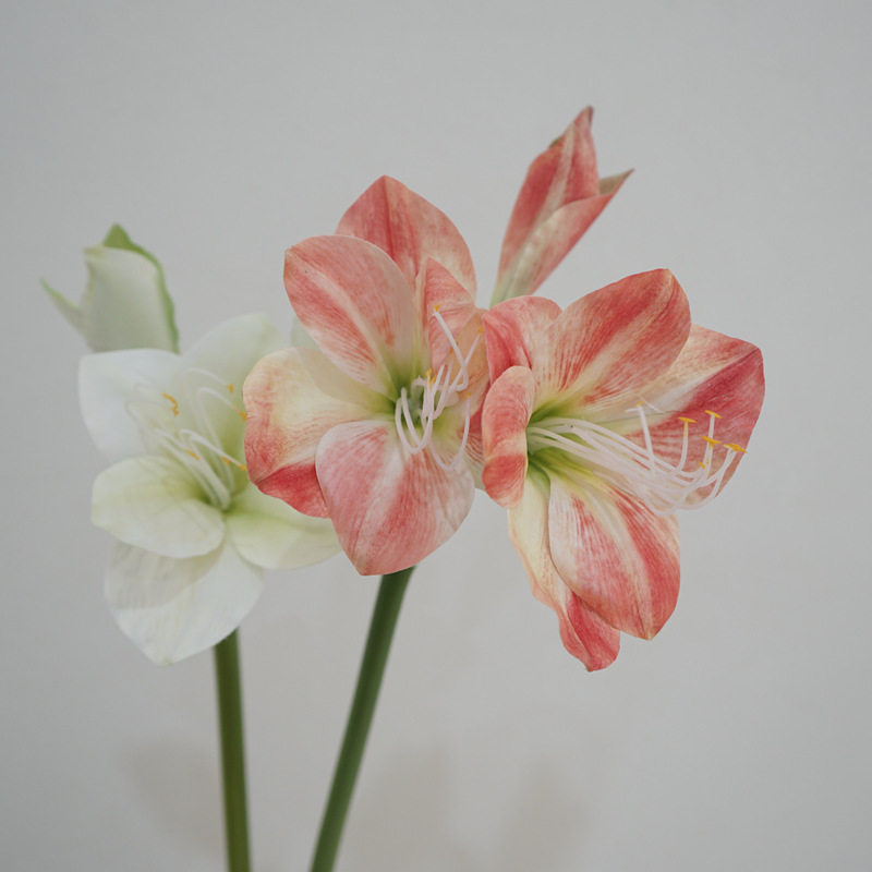 高端仿真花 君子兰假花朱顶红中式插花玄关客厅酒店装饰大堂花艺