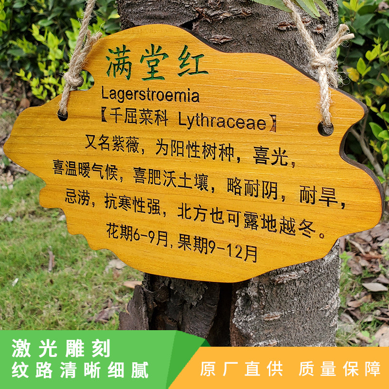 定制实木树牌挂牌树木认养牌园林绿化创意标识牌树名牌简介牌定做