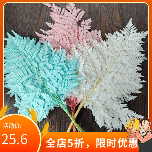 永生花高山羊齿 DIY花材摆拍道具树叶蕨叶求婚鲜花花束装饰摆件