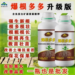 厂家升级版爆根多多鱼蛋白强生新根根多根旺再生生根营养液s
