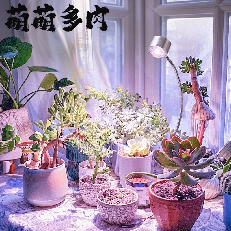 多肉补光灯上色仿太阳光室内家用阳台花卉绿植生长灯,家装灯饰光源,植物生长灯,淘宝优惠券,粉丝福利购,淘宝优惠卷