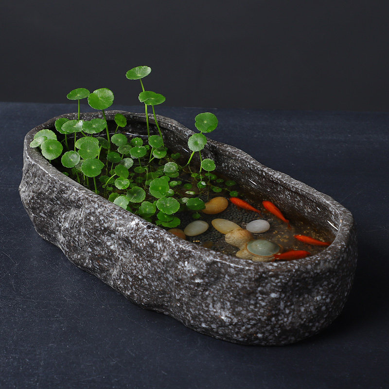 大号长条陶瓷花盆水养碗莲一叶莲家用阳台水培池小型仿石头鱼缸,鲜花速递/花卉仿真/绿植园艺,花盆,淘宝优惠券,粉丝福利购,淘宝优惠卷