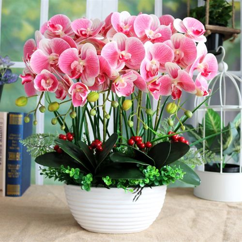 仿真花3D手感PU蝴蝶兰套装室内客厅餐厅装饰花摆设电视柜假花摆件