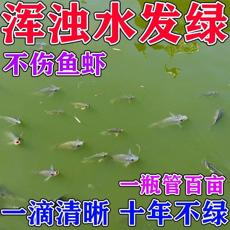 鱼塘净水剂池塘变清鱼塘消毒杀菌药鱼池水质净化鱼缸净水剂一滴清,宠物/宠物食品及用品,鱼缸净水剂,淘宝优惠券,粉丝福利购,淘宝优惠卷