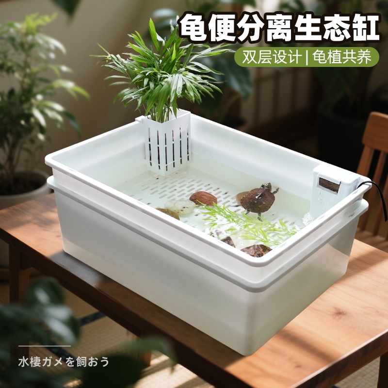 新型乌龟生态缸造景绿植双层龟便分离养龟隔离发色盒饲养育苗盆