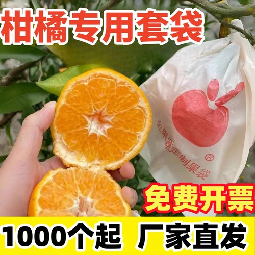 柑橘套袋果袋专用套袋耙耙柑春见防虫防水防鸟纸袋水果保护袋