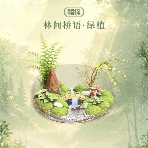 数字福礼林间桥语·绿植送学业首发新品送长辈数字藏品线上礼赠
