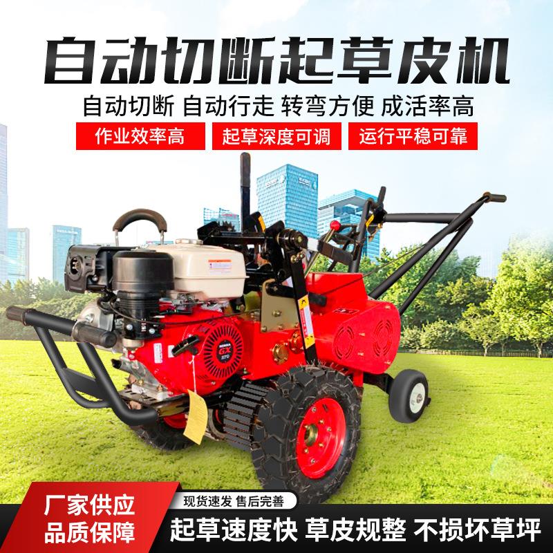 自动切断起草DCZQ-50皮机草坪铲草皮机草坪基块地草带切割坪切块