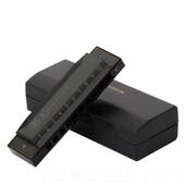 高档国光正品 十孔布鲁斯口成专人业演奏级学生初者入门级学十孔琴