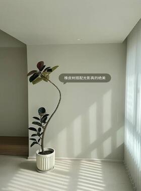 绿橡饰仿植轻奢F77MM58T皮树室内大型客厅生花假植物盆栽装摆件