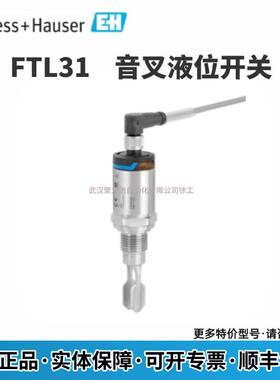 FTL31液-4X8/0FTL31-YVKAA41U2AAW5J德国E+H音叉开关位现货