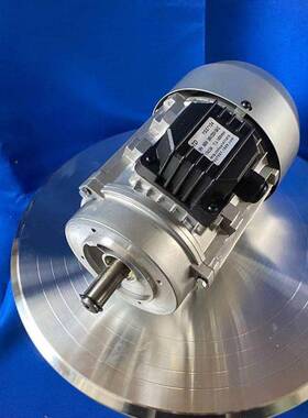 TDYSWBWS724磨抛机电机220/3180V试仪验器电机