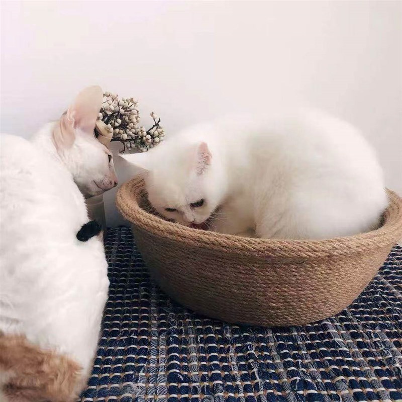 麻绳绳子晾衣绳猫咪抓绳猫爬架绳挂绳手工材料园区水管装饰