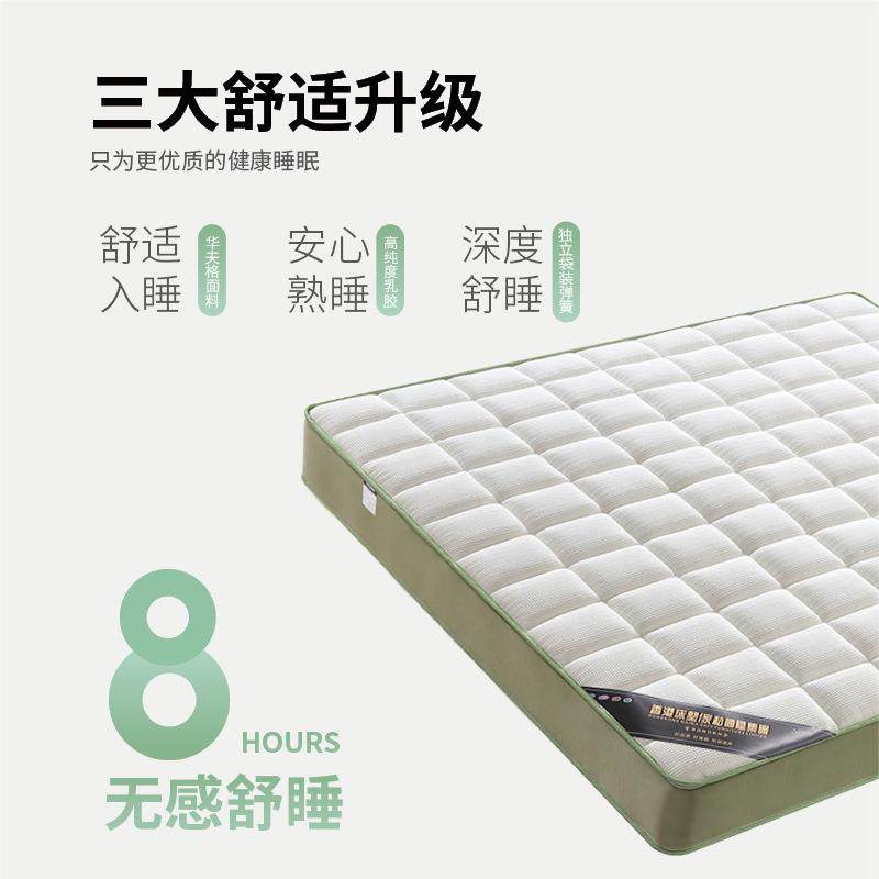 出租屋家用席梦思弹簧床垫舒床适2cm厚软硬两1用BPM.8米乳0胶椰棕,标准件/零部件/工业耗材,车间地垫,淘宝优惠券,粉丝福利购,淘宝优惠卷