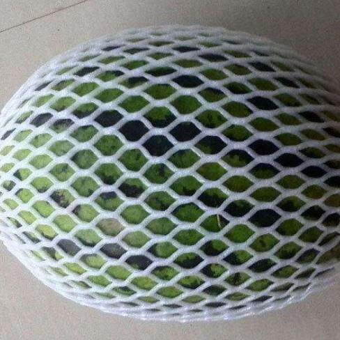 直销大包5装防震斤发泡水果SGW网套鸡草蛋蔬菜莓网珍珠棉套
