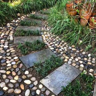 白色石普抛鹅卵石工程铺路林园造林景观雨花石鱼缸景石506沙头园