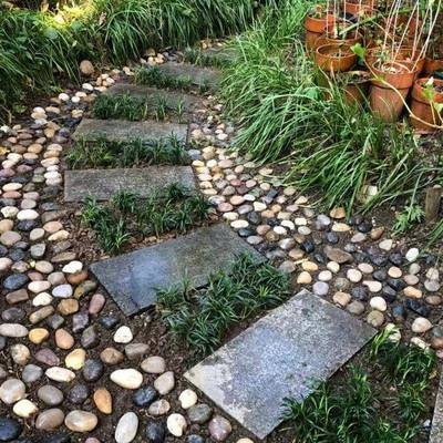 白色石普抛鹅卵石工程铺路林园造林景观雨花石鱼缸景石506沙头园