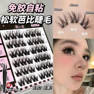 5D蓬松大花卷 彷真超软蓬松免胶水单簇 免胶自粘假睫毛自然浓密款