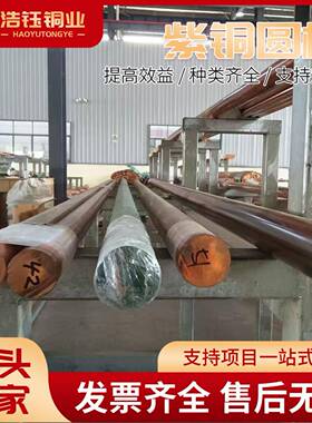 棒紫铜棒T2实心铜C110红0铜无氧铜棒实心圆棒棒源PQE头厂家