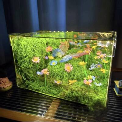 绿野仙友踪蝴蝶长方形小夜灯材包送女闺料蜜52070情人节创意礼