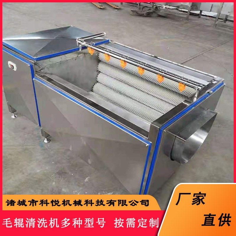 白萝卜毛辊清洗机红枣抛光清洗设备商用土豆去皮加工机器科悦机械