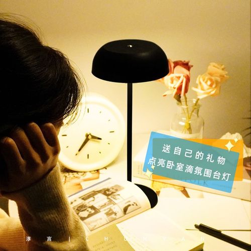 淳言新款设计师便携式充电卧室餐厅露营咖啡灯高脚氛围灯装饰台灯